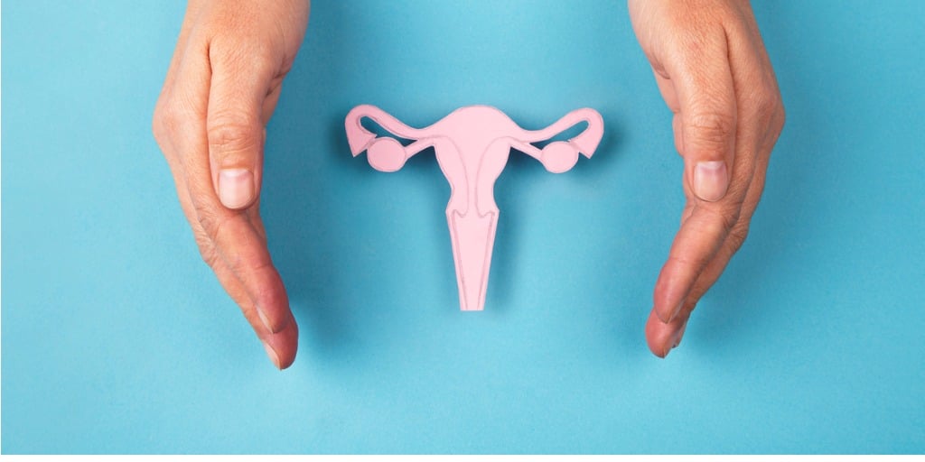  Female reproductive system and hands