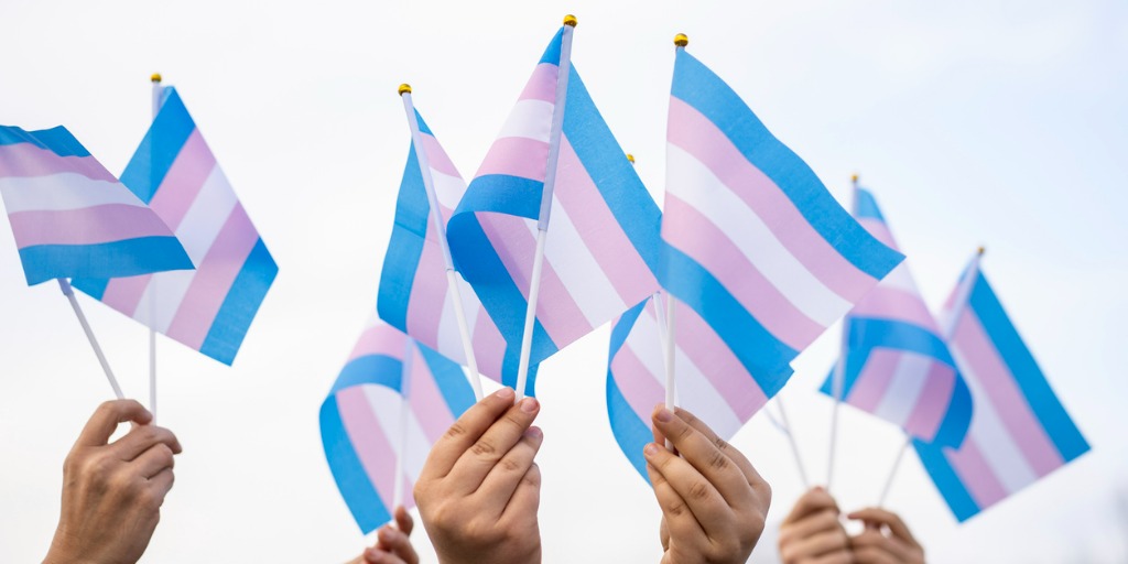 transgender flags